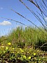 04-162.jpg