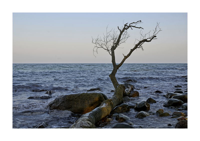 Steilküste auf Fehmarn