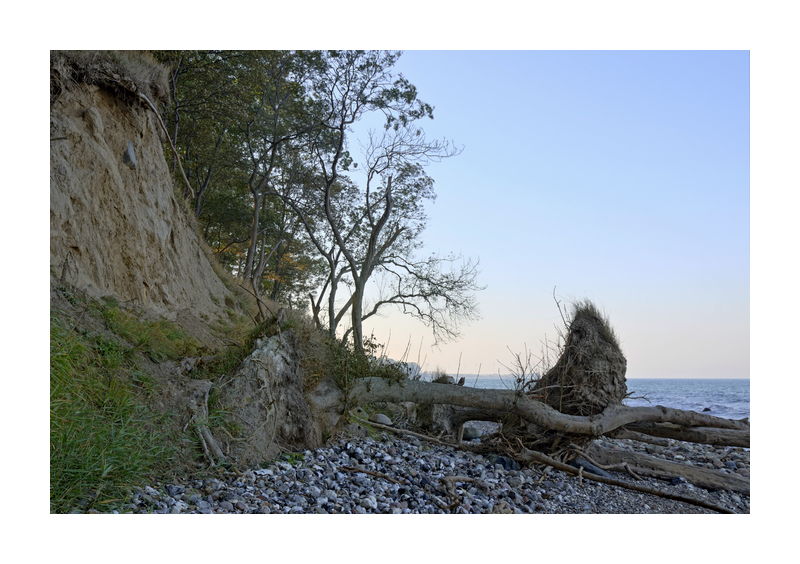 Steilküste auf Fehmarn