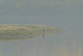 bay-015.jpg