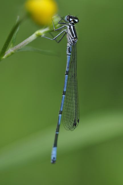 60-308.jpg